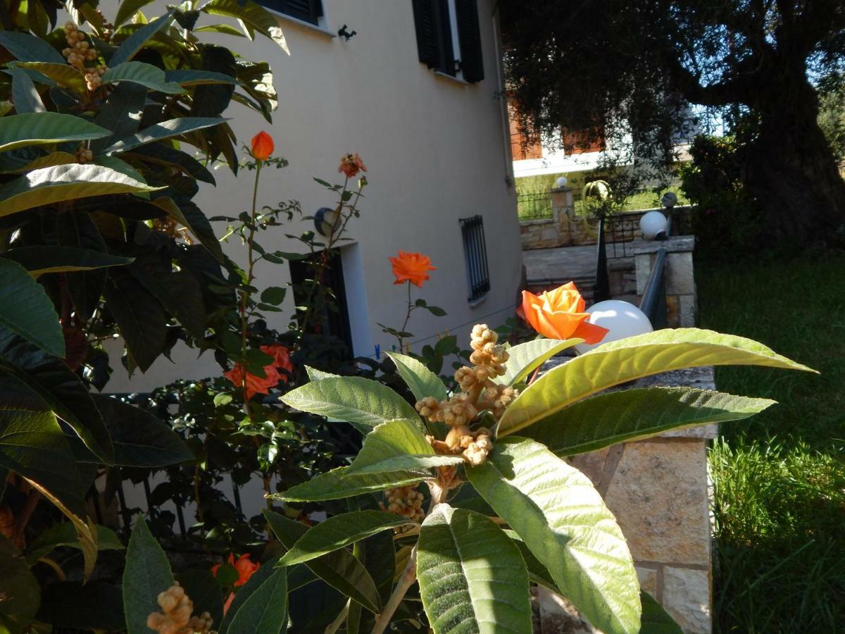 Villa Dimitra Sívota Buitenkant foto